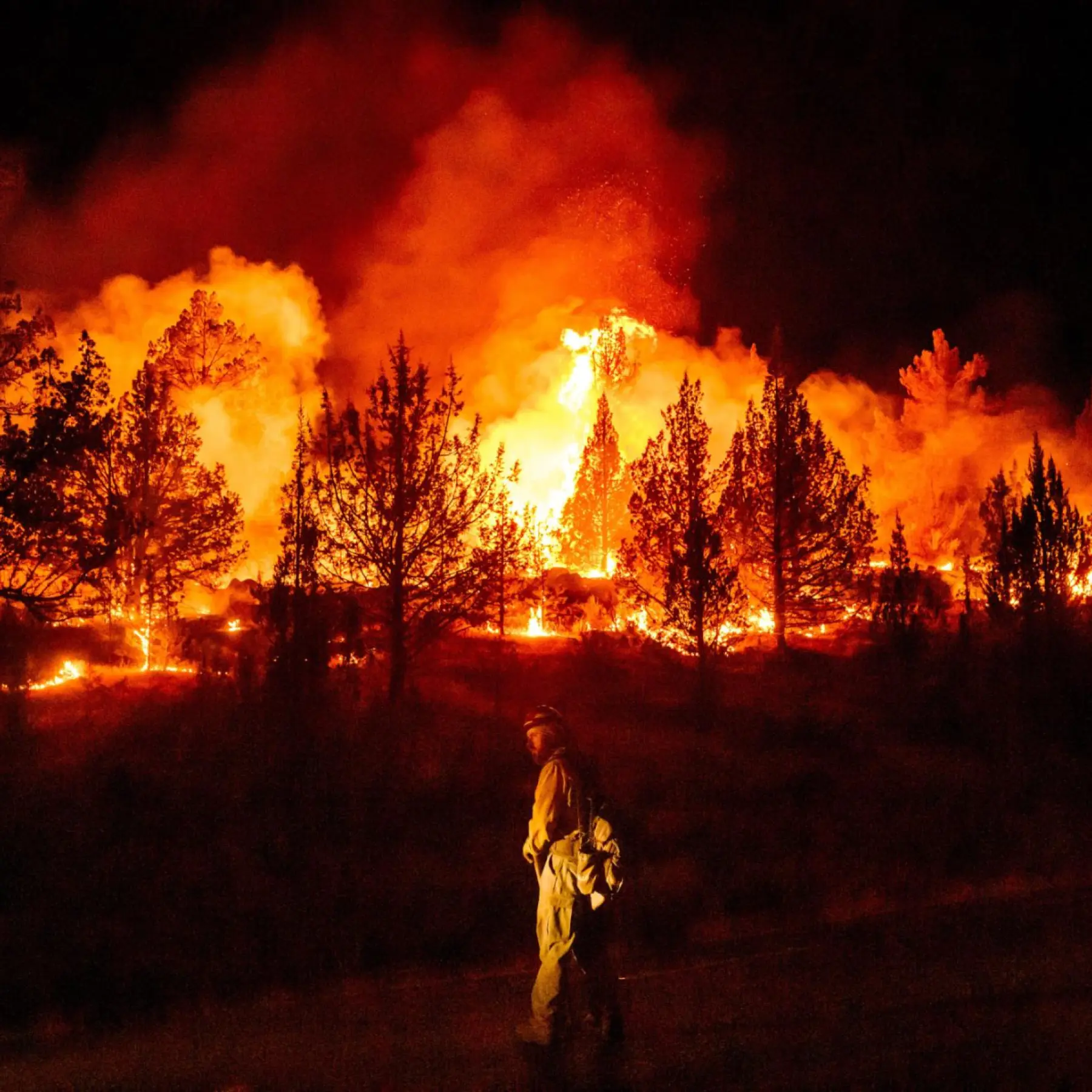 Why Western Europe’s 2022 Wildfires Were a Climate Wake-Up Call