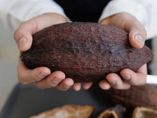 The Secret Lives of Professional Taste Testers: Precision, Palates, and Paychecks