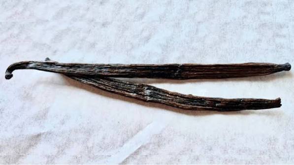 The Vanilla Bean’s Odyssey: From Mesoamerican Ritual to Global Commodity