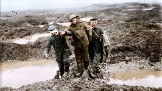 Mud, Rats, and the Human Cost: Inside the Trenches of World War I