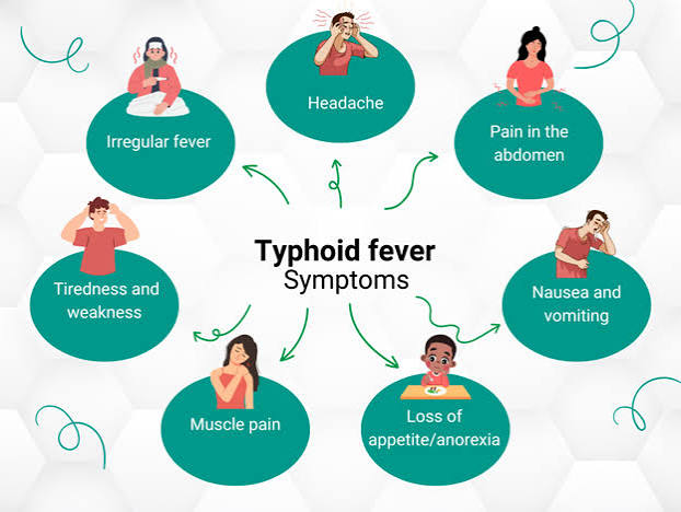 The Forgotten Plague: How Typhoid Fever Shaped Modern Public Health