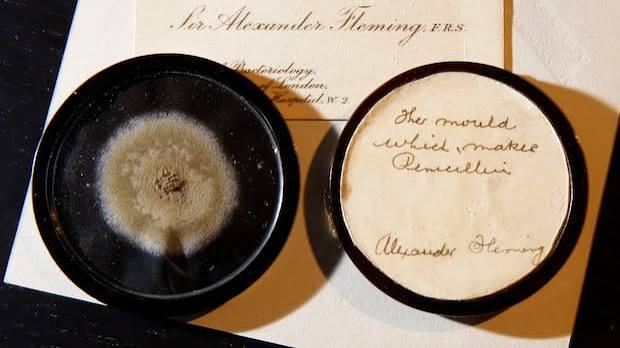 The Mold That Won the War: How Penicillin Beat Infection and Saved Millions