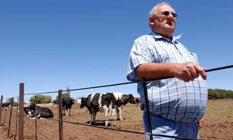 Why White Farmers Still Own Most of South Africa’s Land: The Market-Based Reform That Backfired