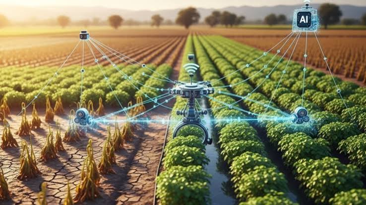 Farming in a Hotter, Wilder Climate: What AI and Biotech Can Actually Do