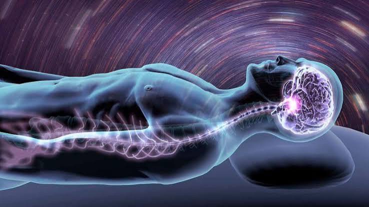 The Science of Sleep: Why We Dream and What It Means for Your Brain