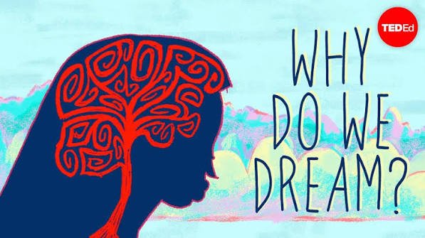 Why Do We Dream? The Leading Theories Explained