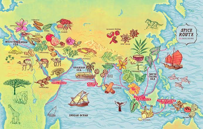 How Pepper, Cinnamon, and Nutmeg Rewrote the Map of the World