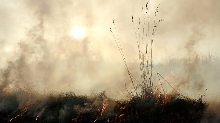 Super El Niño Could Push an Already Stressed Climate Past a Critical Threshold