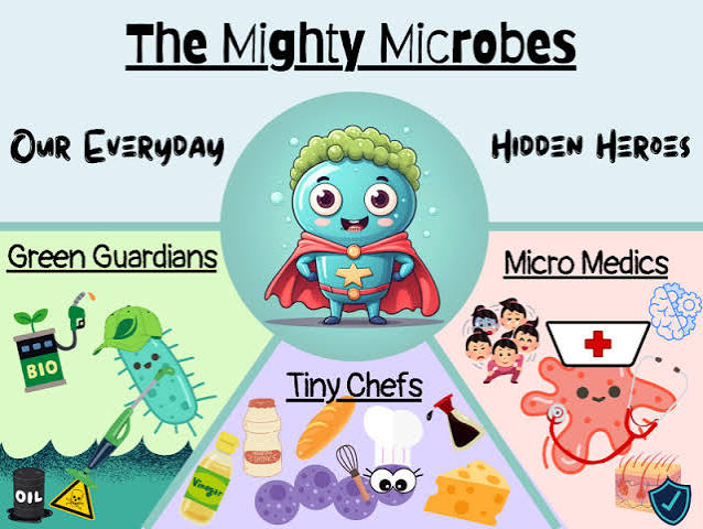 The Hidden Heroes of Your Immune System: How Gut Microbes Keep You Healthy