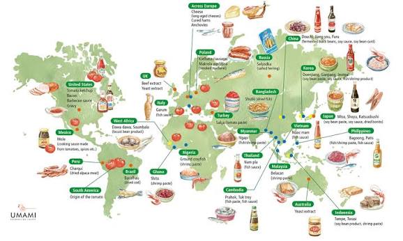 The Art of Fermentation: How Ancient Preservation Techniques Became Global Cuisine