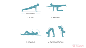 5 Stretches for Back Pain: What Works, What Doesn’t, and Why “Permanent” Is a Red Flag