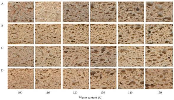 The Hidden Mathematics of Bread: How Gluten Networks and Fermentation Kinetics Shape Every Loaf