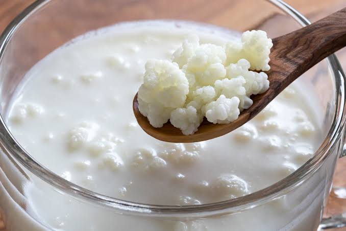 The Caucasus Ferments That Shaped Health and Identity: Kefir and Matsoni